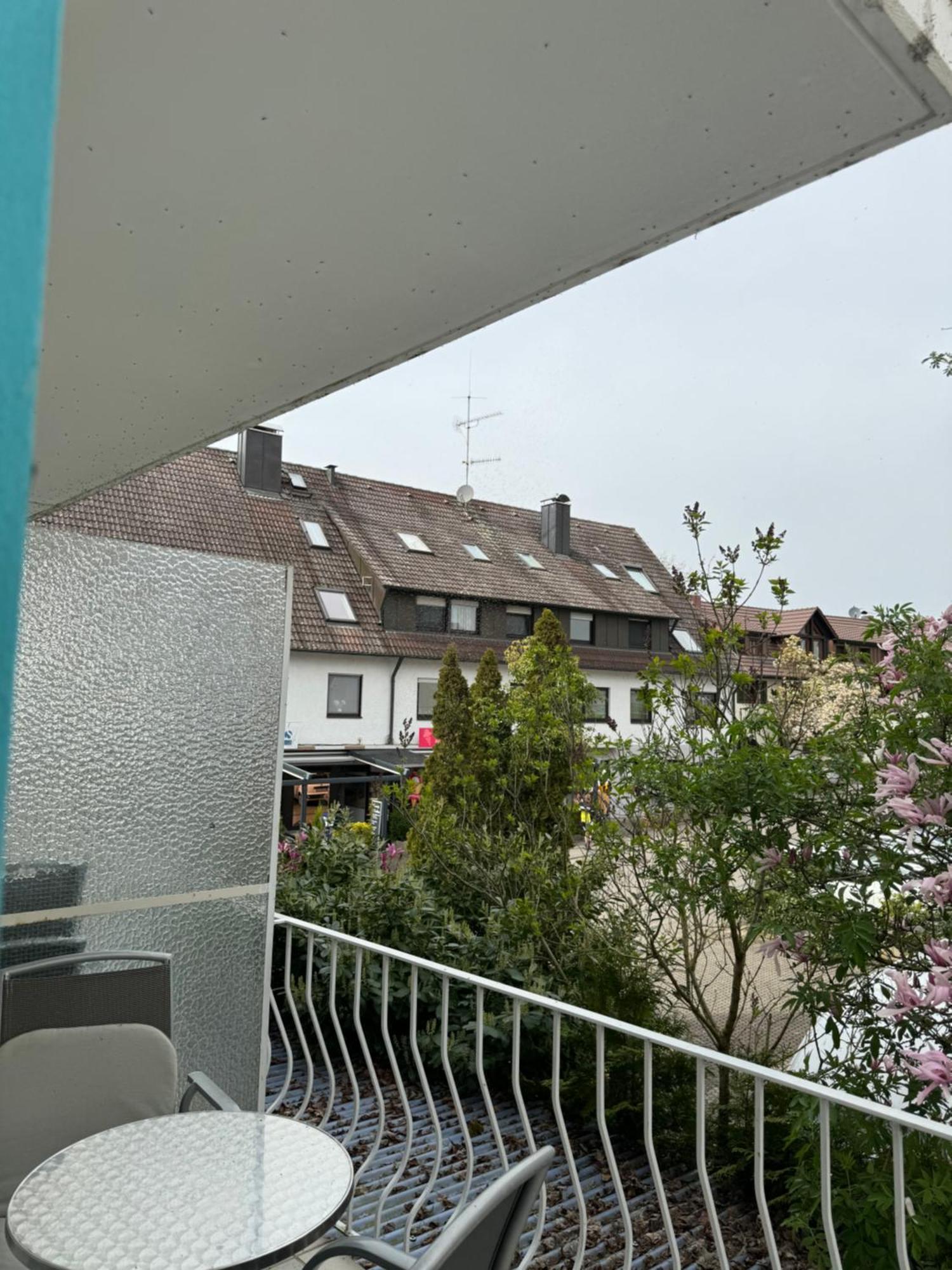 רייכנאו See-Hotel Seeschau - Direkt Am Bodenseeufer מראה חיצוני תמונה